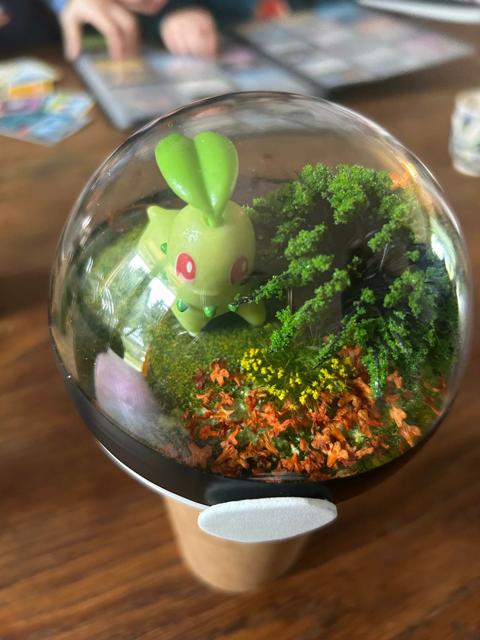 Exemple terrarium 4
