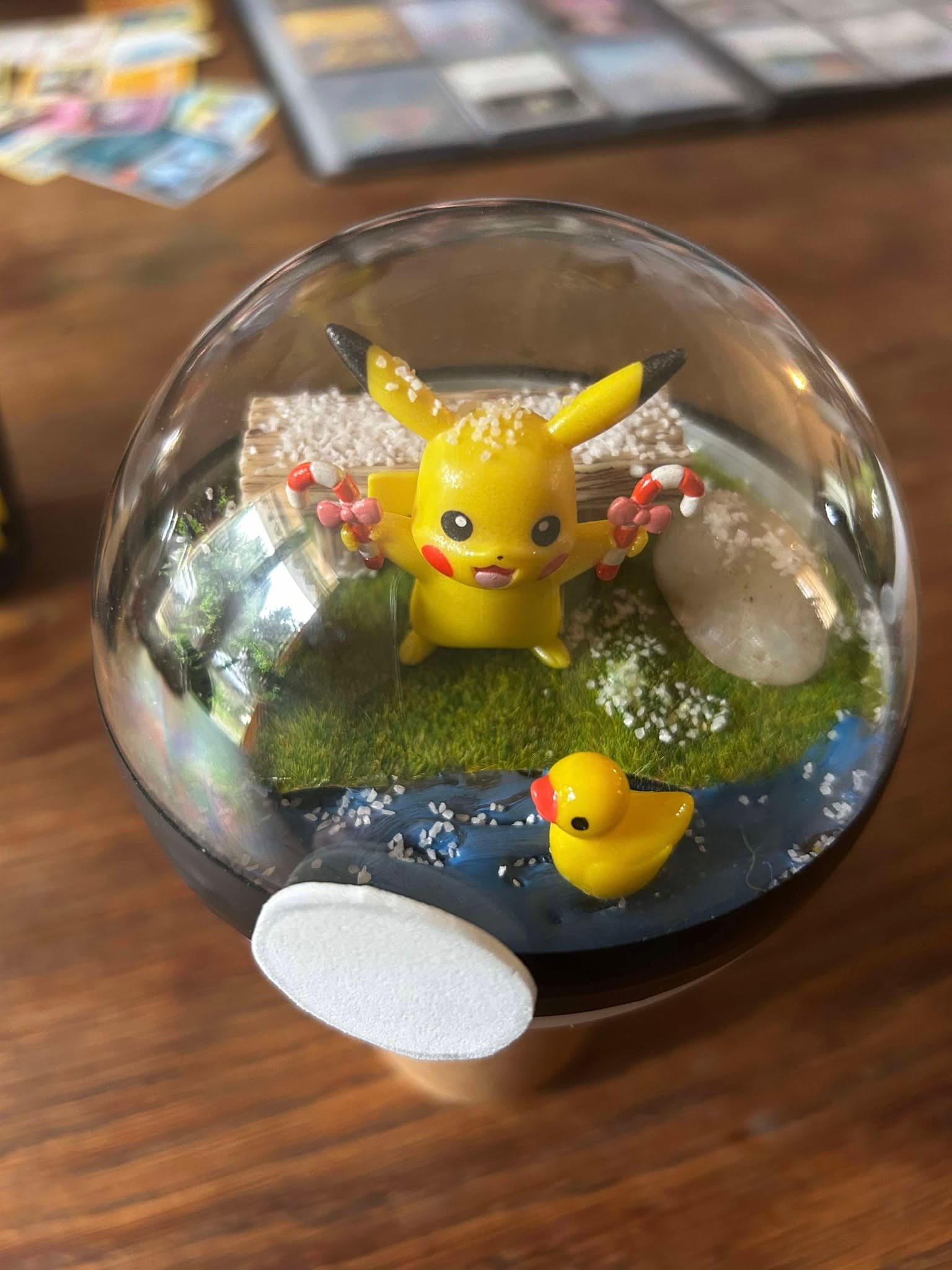 Création de terrarium